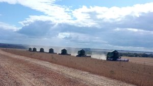Жизнь в Белгородской области.