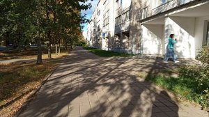#красивая рыжая осень