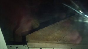 Шархан  в домике будет спать 29.09.2025 Видео от опекуна Светланы