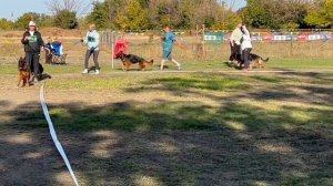 ЮНИОРЫ СУКИ ДШ / Кубок НКП РОСТОВ-НА-ДОНУ 28 сентября`25 Z.Najdovski, Е.Близнецова  Моно н/о