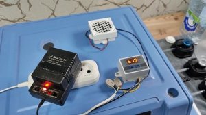 Вывели цыплят  доработанный  икубатор Ряба