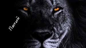 по тихоньку ползу в гору а тут такая красота.