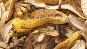 Квас из банановых шкурок