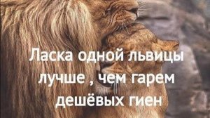 Название? 🤔 Да фиг знает😁, просто видео 😆