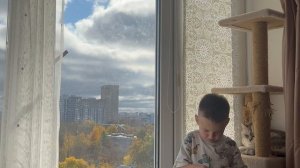 Обзор роботов