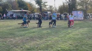 МОЛОДЫЕ СУКИ / Кубок НКП РОСТОВ-НА-ДОНУ 28 сентября`25 Z.Najdovski, Е.Близнецова  Моно н/о