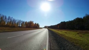 Сосновая лесополоса восстановилась, после лихих девяностых.