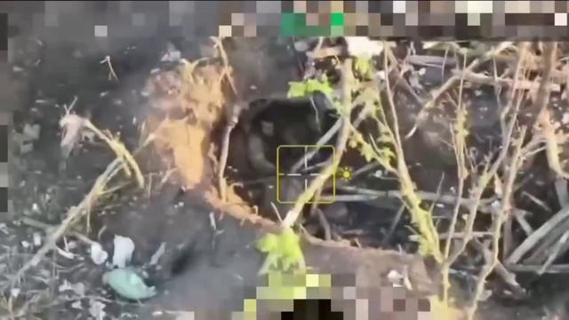 Кадры Х.Ф 