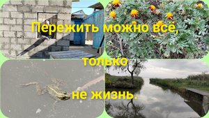Переиграли.Выходной.Мнение эксперта.