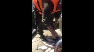 Достойная рыбалка и море впечатлений на базе ВЕРХНЕЛЕБЯЖЬЕ. Лето 2025