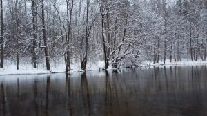 Teaser - Alol' Ultra Trail 2023