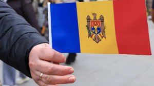 Оппозиционные Санду силы набирают 49,52% после обработки более 99% протоколов