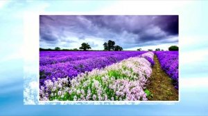 Two Rivers - The Bells Of Soul