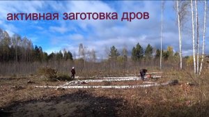 Заготовка дров, новый сезон 2025. 1 серия.