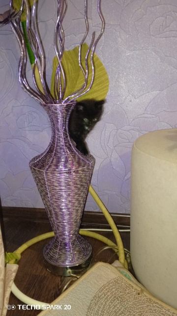 котята смотреть онлайн