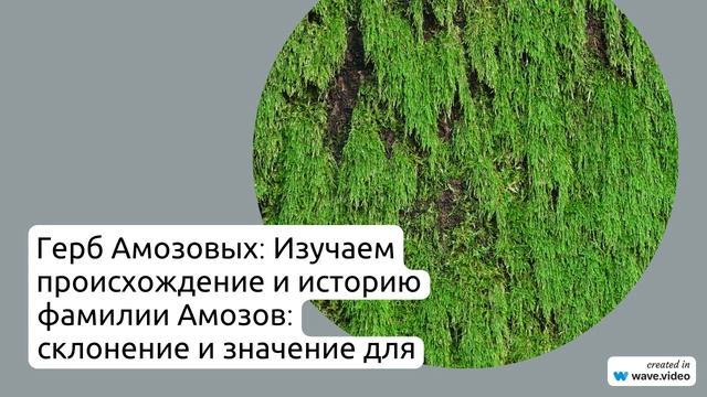 Изучаем происхождение и историю фамилии Амозов: склонение и значение для генеалогических