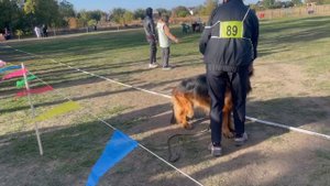 МОЛОДЫЕ КОБЕЛИ ДШ / Кубок НКП РОСТОВ-НА-ДОНУ 28 сентября`25 Z.Najdovski, Е.Близнецова  Моно н/о