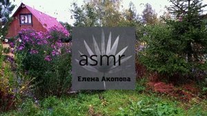 Осенний двор под дождем. АСМР