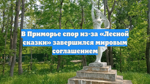 В Приморье спор из-за «Лесной сказки» завершился мировым соглашением