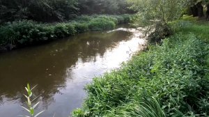 Мормышинг в сильный ветер на микро-речке.