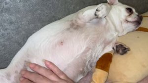 Всем самой доброй ночи и прекрасных снов.