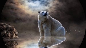 Песня: Новая Земля.