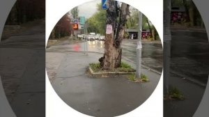 А в Донецке дождик💦💦💦