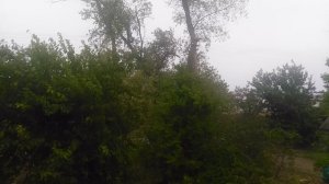 VID_20250929_143311.mp4