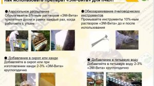 ЭМ в пчеловодстве