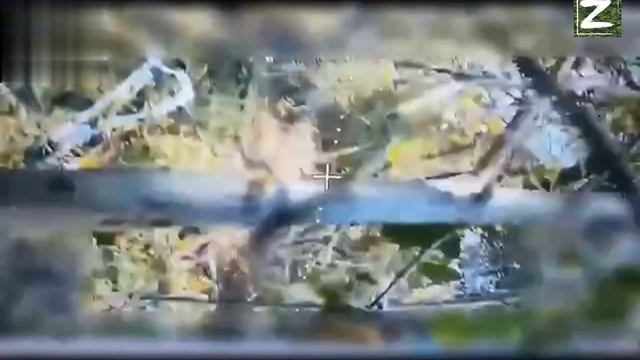 СВО