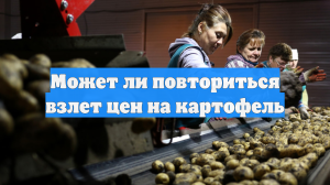 Может ли повториться взлет цен на картофель