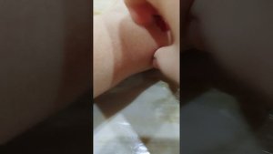 проверка тату