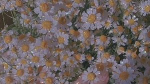 🎀Роблокс_Укради_Brainrot🎀