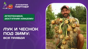 КАК ПОДГОТОВИТЬ ПОЧВУ ДЛЯ ПОСАДКИ ОЗИМОГО ЛУКА И ЧЕСНОКА