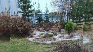 Засеял поле трынь травой
а зайцы штатные косые
косить отказываются