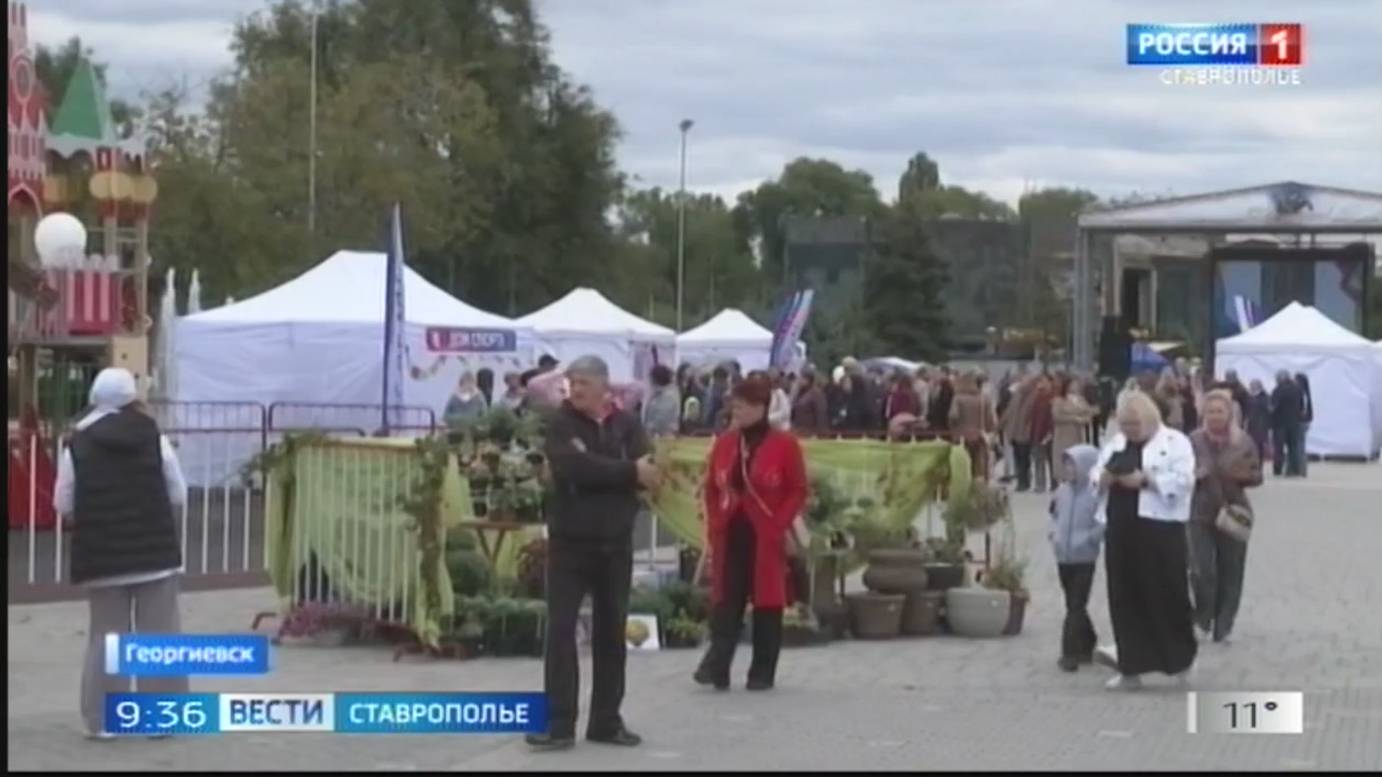 На Ставрополье малоимущие смогут улучшить свое финансовое положение
