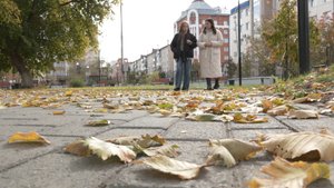 «Бархатный сезон»: в каких направлениях предпочитают путешествовать зауральцы этой осенью?