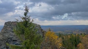 Лариса Перминова | ТОЧКА.РФ – МЕСТО | г. Пермь