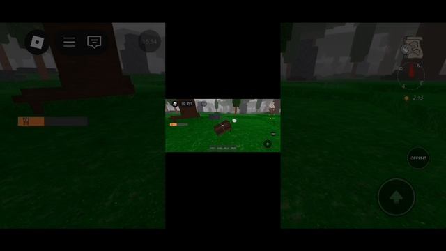 99 ночей в лесу