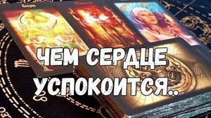 Чем сердце успокоится????