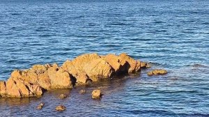 Побережье Японского моря в Дальнегорском районе