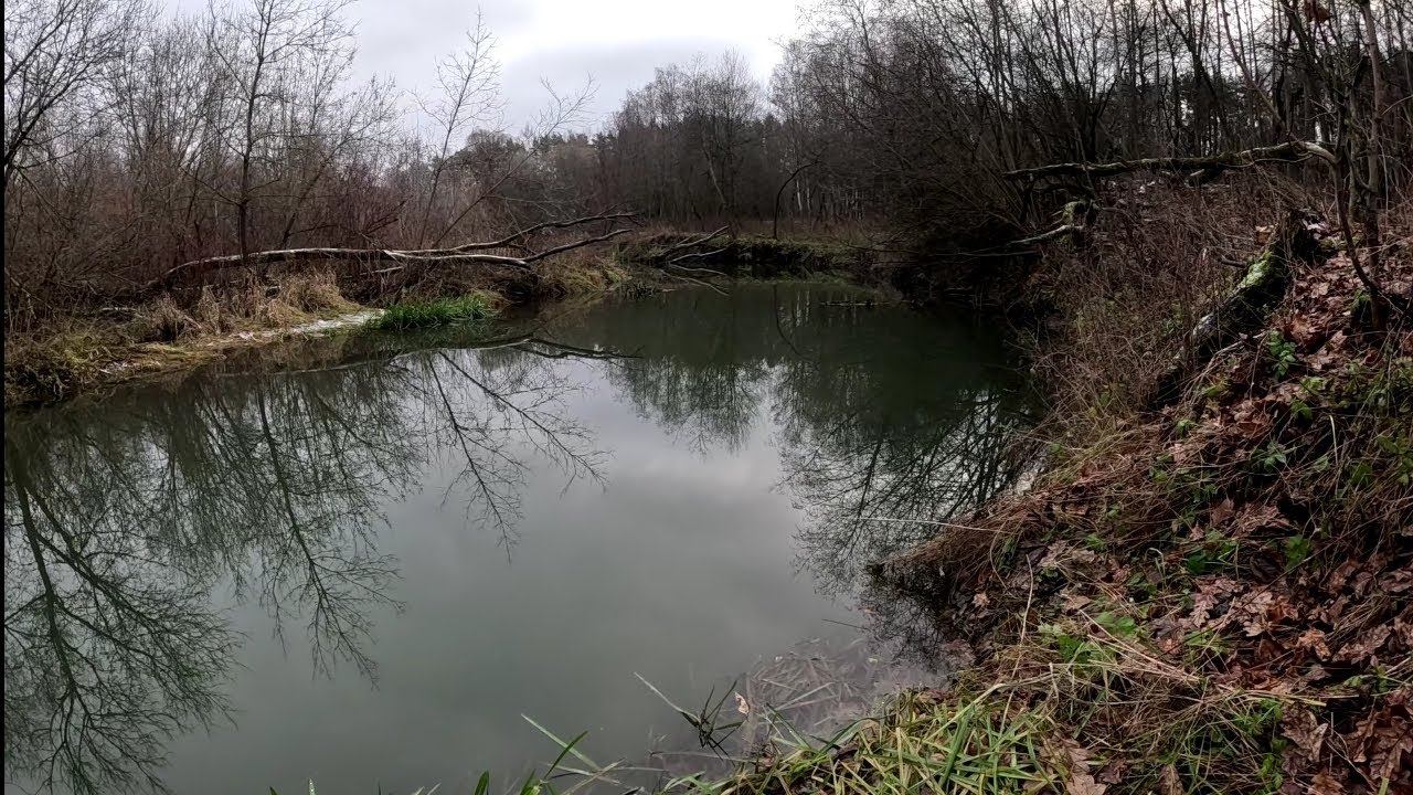 Мормышинг. Ловля Окуня В Ноябре На Микро-Речке. смотреть онлайн