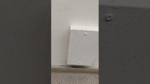 стрим в школе