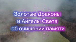 Золотые Драконы и Ангелы Света об очищении памяти 19.07.2025г    (88 Послание)