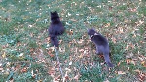 Холодно на улице.