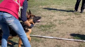 БЕБИ КОБЕЛИ / Кубок НКП РОСТОВ-НА-ДОНУ 28 сентября`25 Z.Najdovski, Е.Близнецова Моно н/о