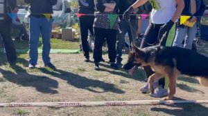 ЩЕНКИ СУКИ / Кубок НКП РОСТОВ-НА-ДОНУ 28 сентября`25 Z.Najdovski, Е.Близнецова Моно н/о