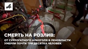 Смерть на розлив: от суррогатного алкоголя в Ленобласти умерли почти три десятка человек