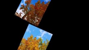 Яркая красочная осень.mp4