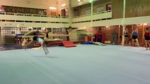 Олимпийская чемпионка провела мастер-класс в муниципальной спортивной школе по гимнастике.